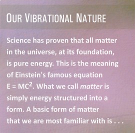 Our Vibrational Nature